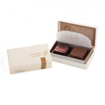 Spa 2pc Studio Truffle Box